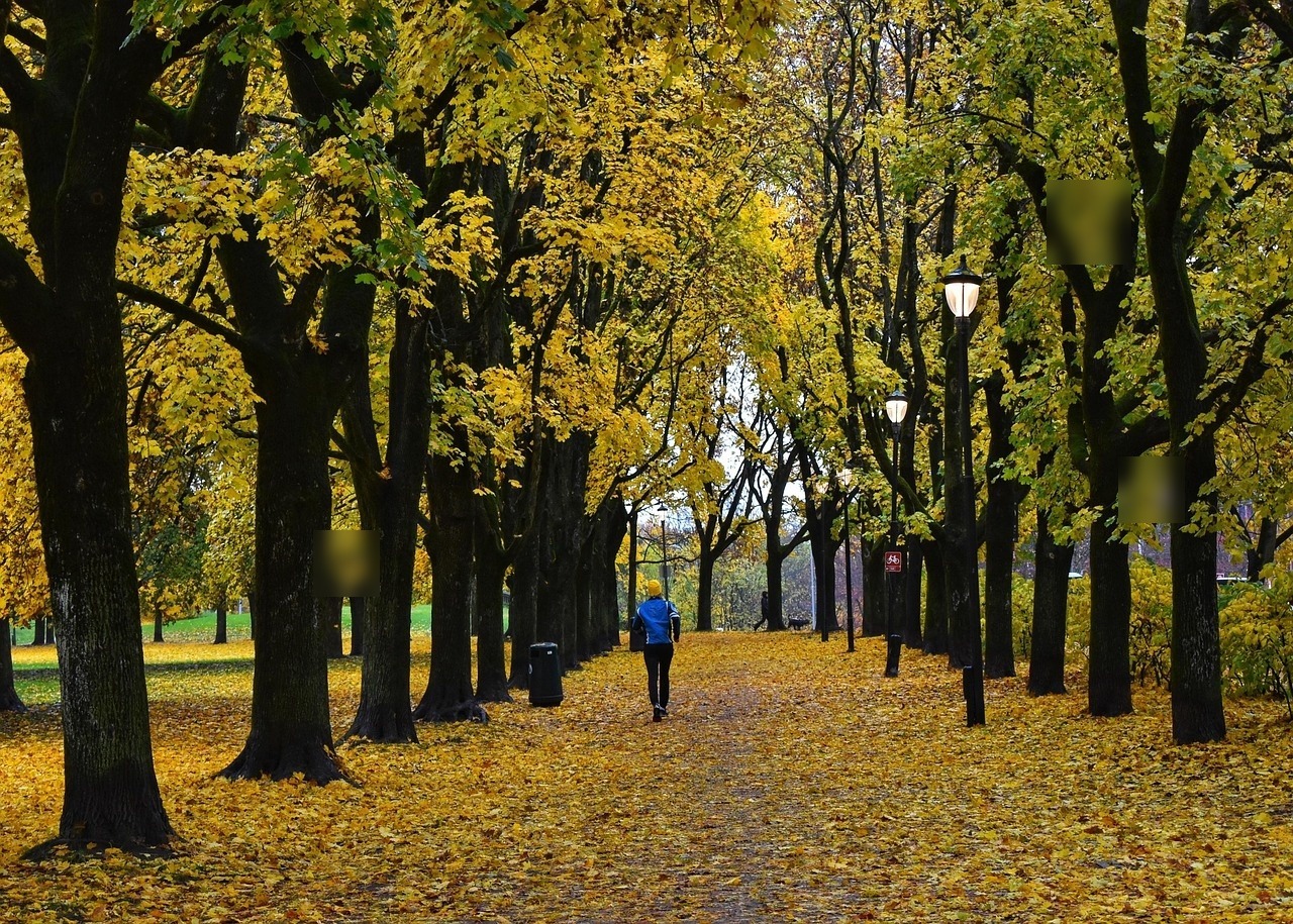 Illustrasjonsbilde for artikkel: Hun utsetter eller avlyser alle dine avtaler: Hva skal jeg gjøre?