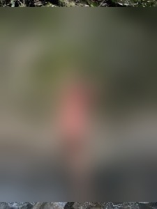 Bilde av Anna, kvinne på 28 år for dating i Telemark